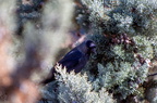  D705678