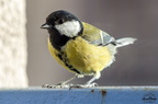  D030550
