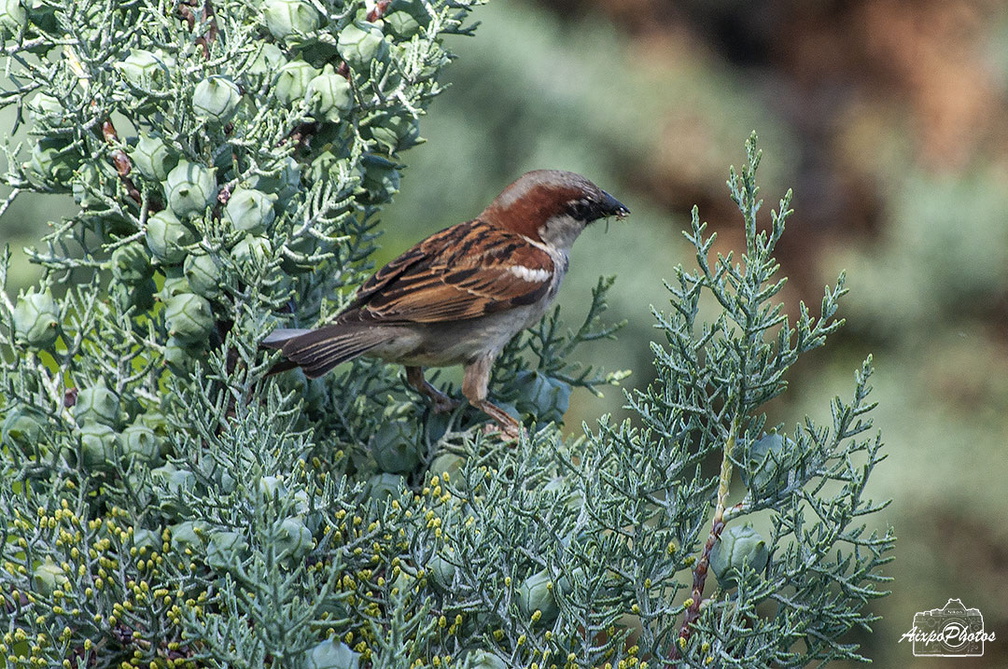 _D701052.jpg