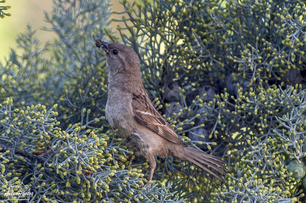 _D701504.jpg