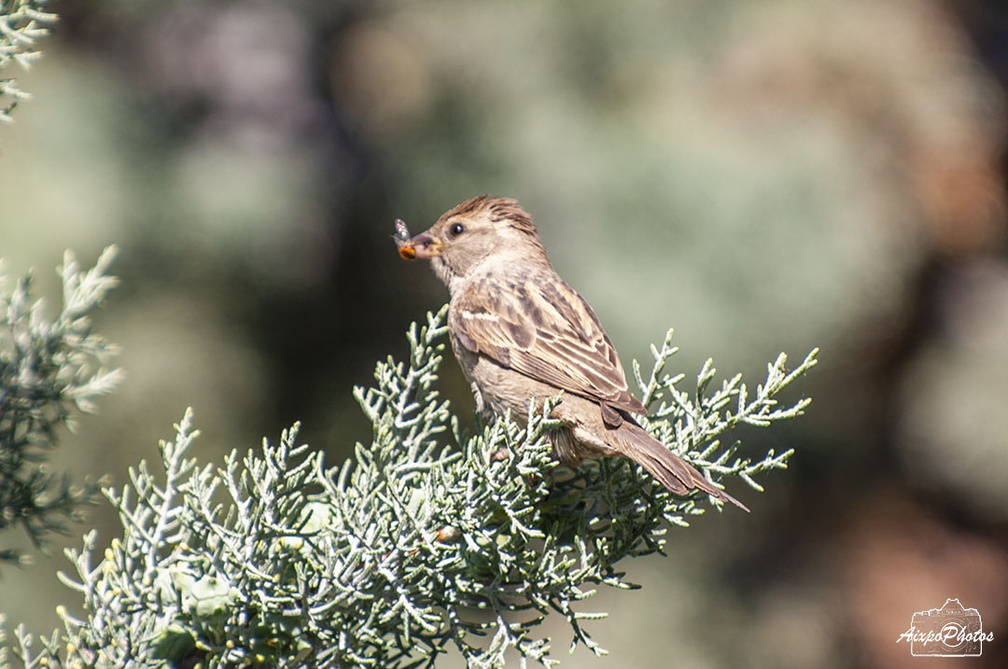 _D701600.jpg