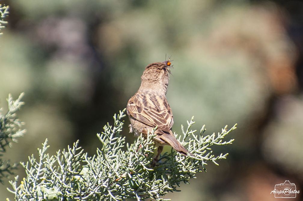 _D701611.jpg