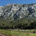 Sainte Victoire 05