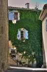  DSC4560