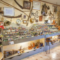  DSC2520