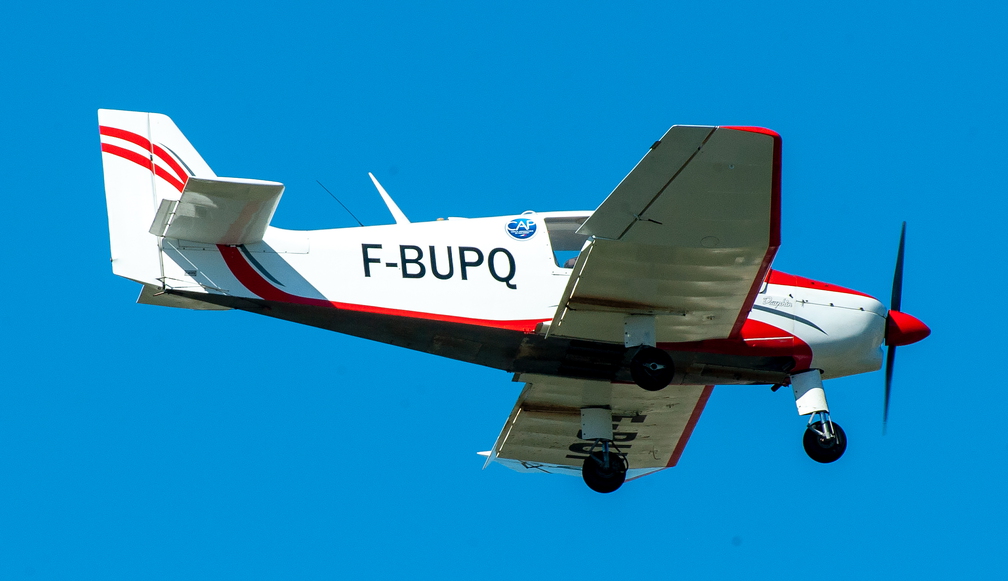 _D709285.jpg