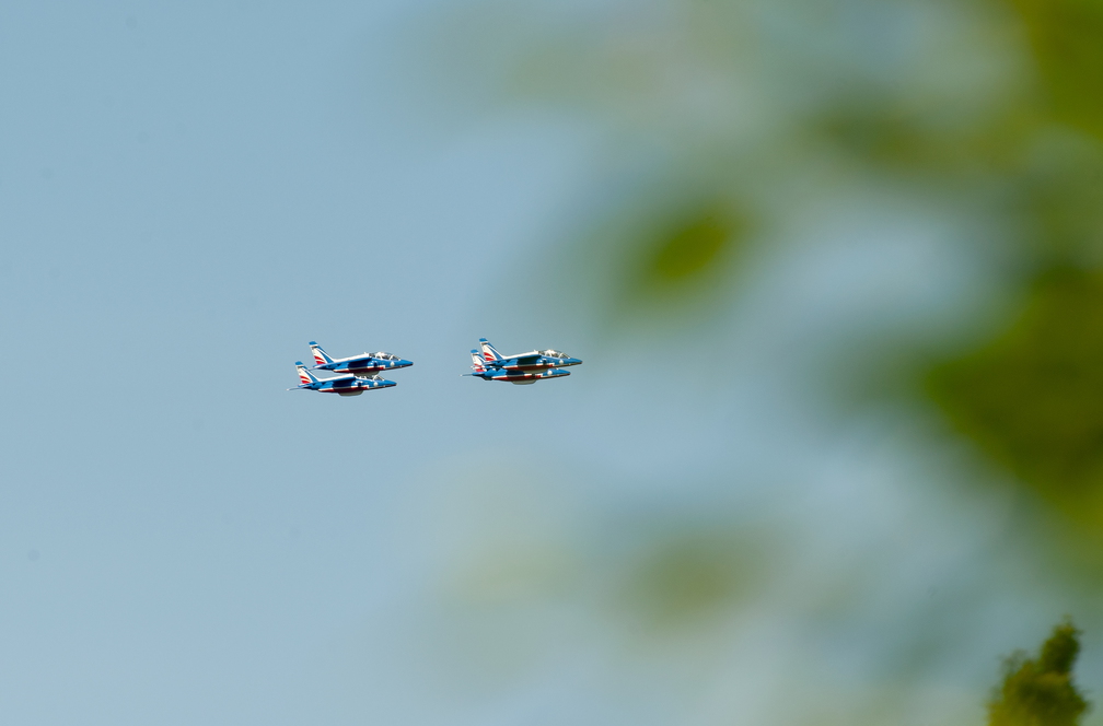 _D701337.jpg