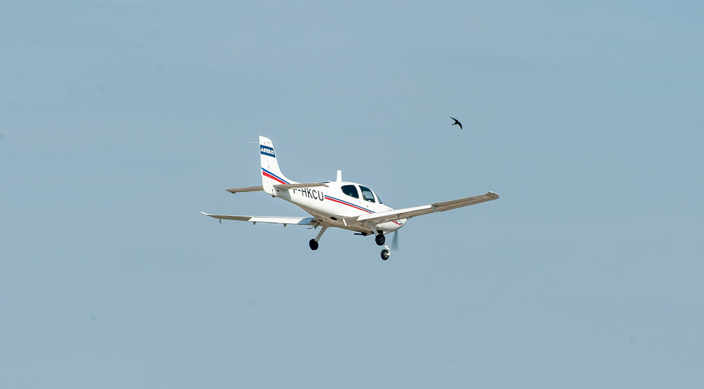 _D701431.jpg