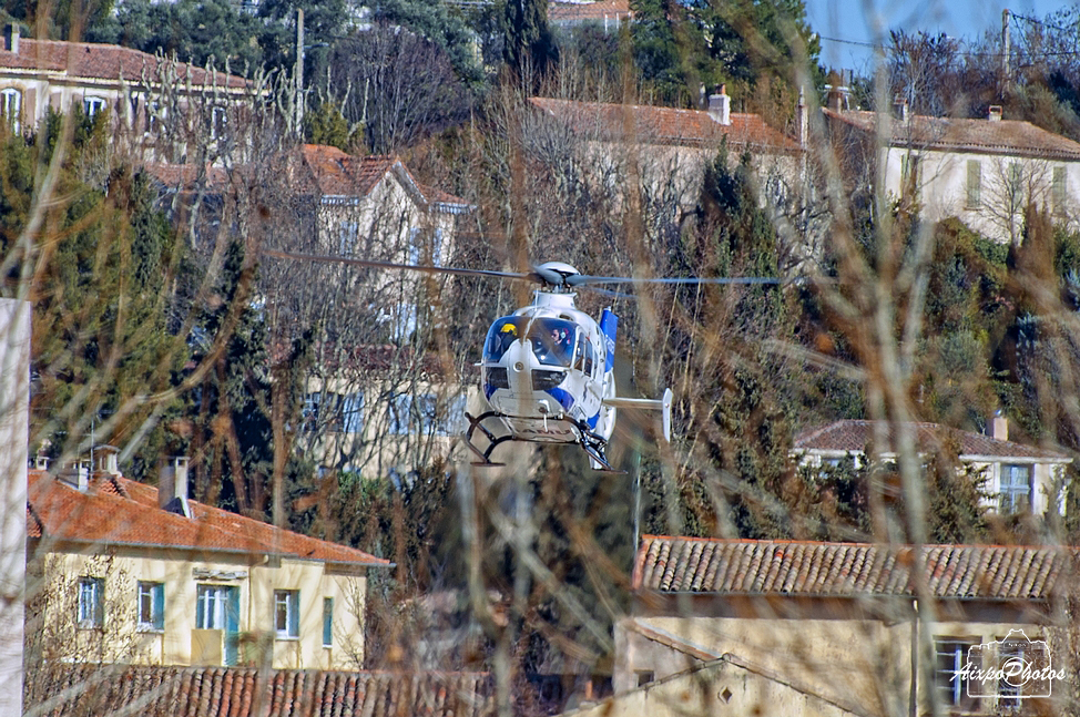 _D032302.jpg