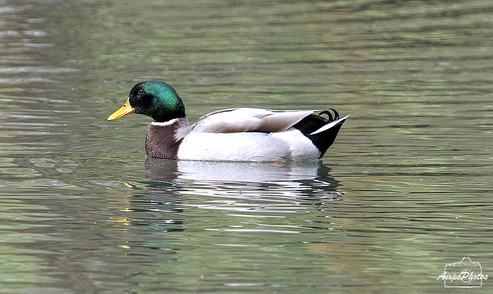 _DSC0034.jpg