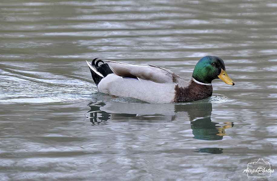 _DSC0057.jpg