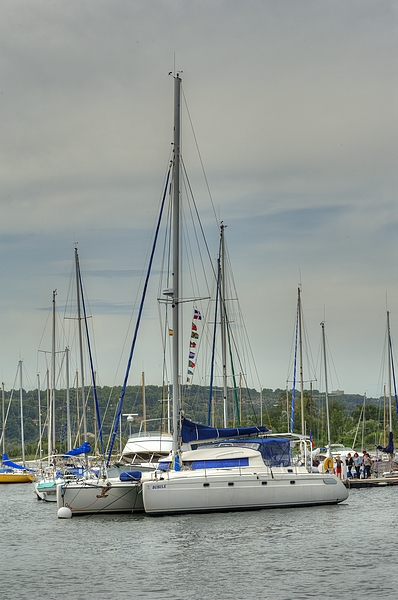 DSC0862 - _DSC0862.jpg _DSC0862.jpg